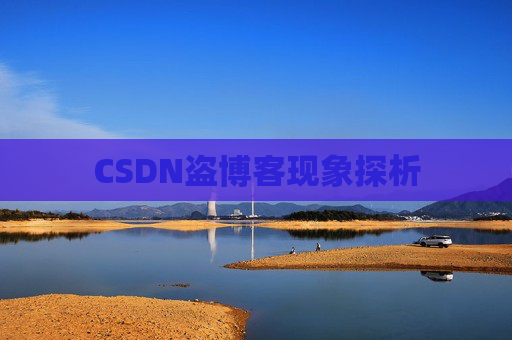 CSDN盗博客现象探析